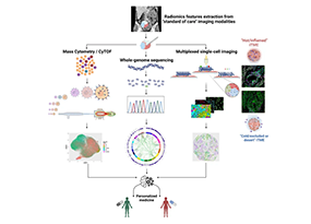 Multiparameter single-cell proteomic technologies give new insights into the biology of ovarian tumors