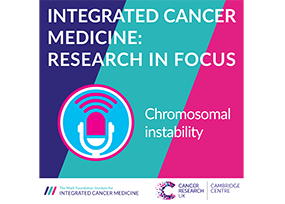 ICM Research in Focus – Chromosomal instability
